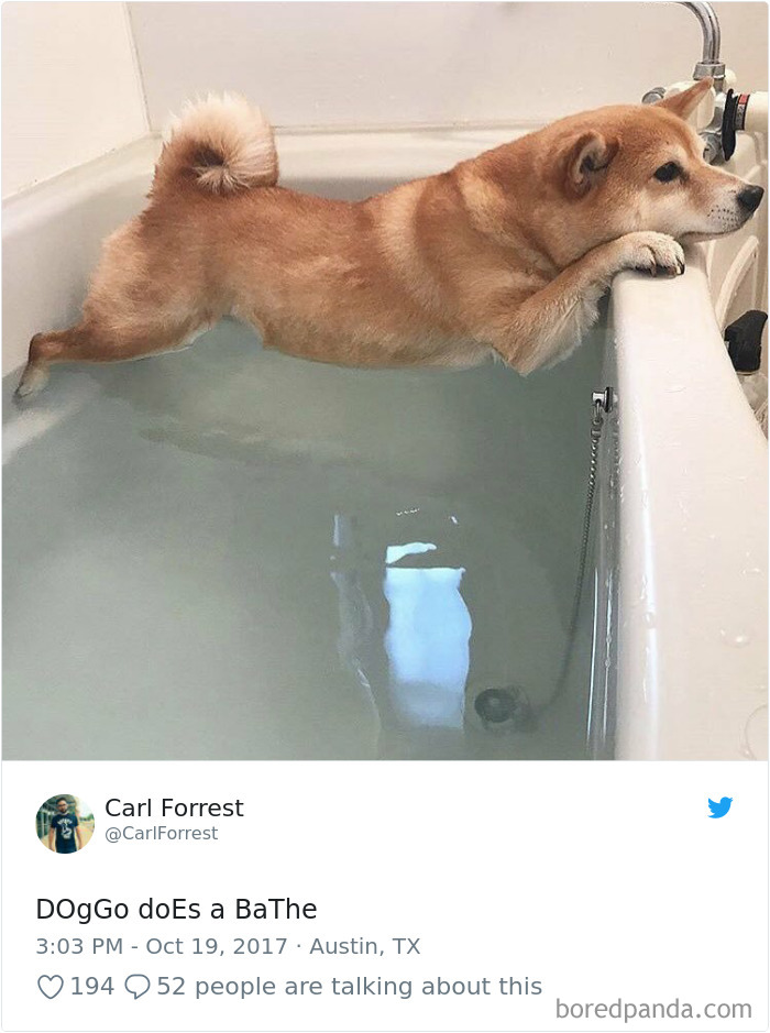 Hilarious-Dog-Tweets