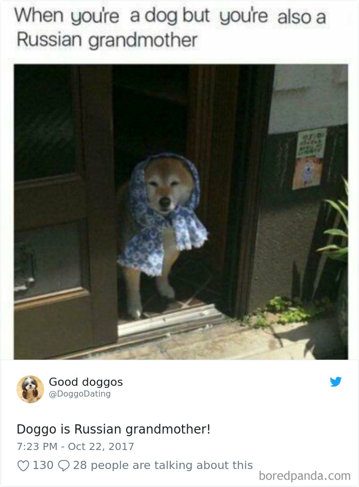Hilarious-Dog-Tweets
