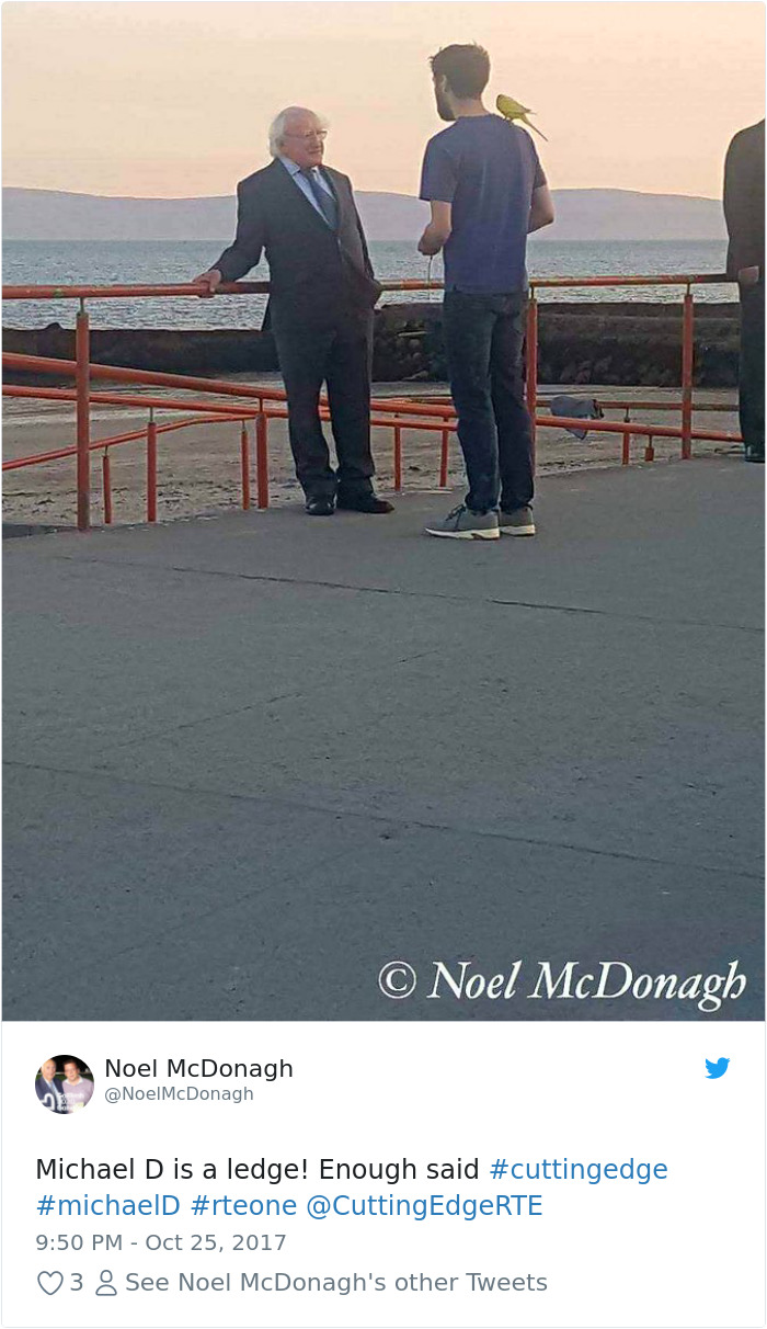 Ireland President Michael Higgins