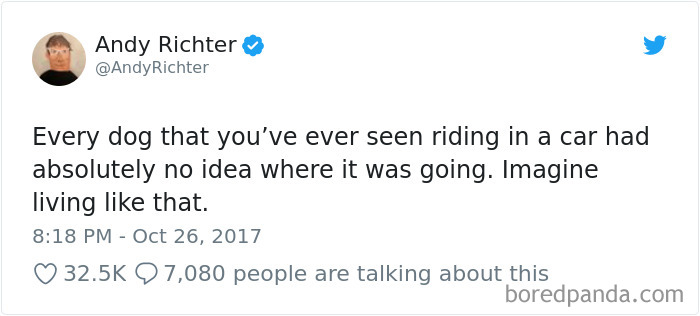 Hilarious-Dog-Tweets