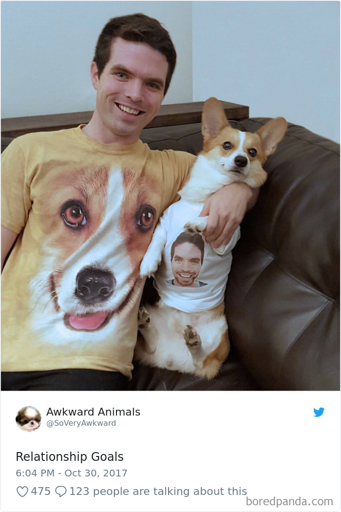 Hilarious-Dog-Tweets