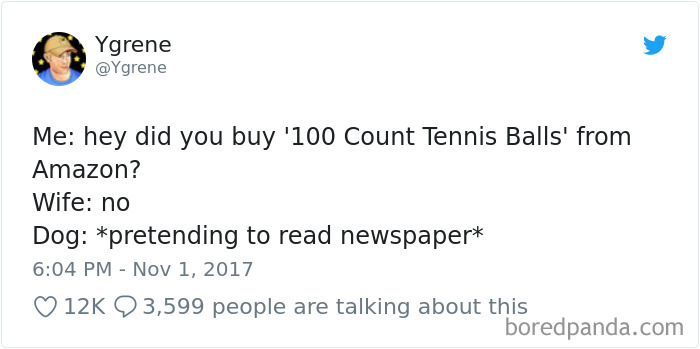 Hilarious-Dog-Tweets