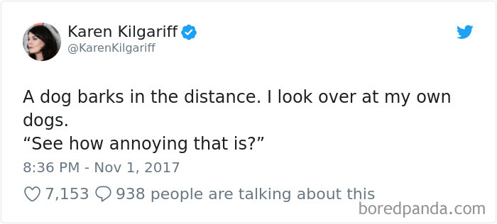 Hilarious-Dog-Tweets