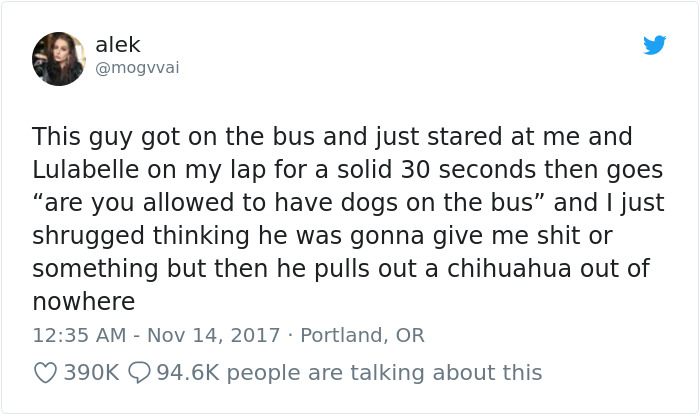 Hilarious-Dog-Tweets