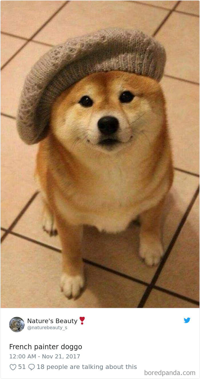 Hilarious-Dog-Tweets