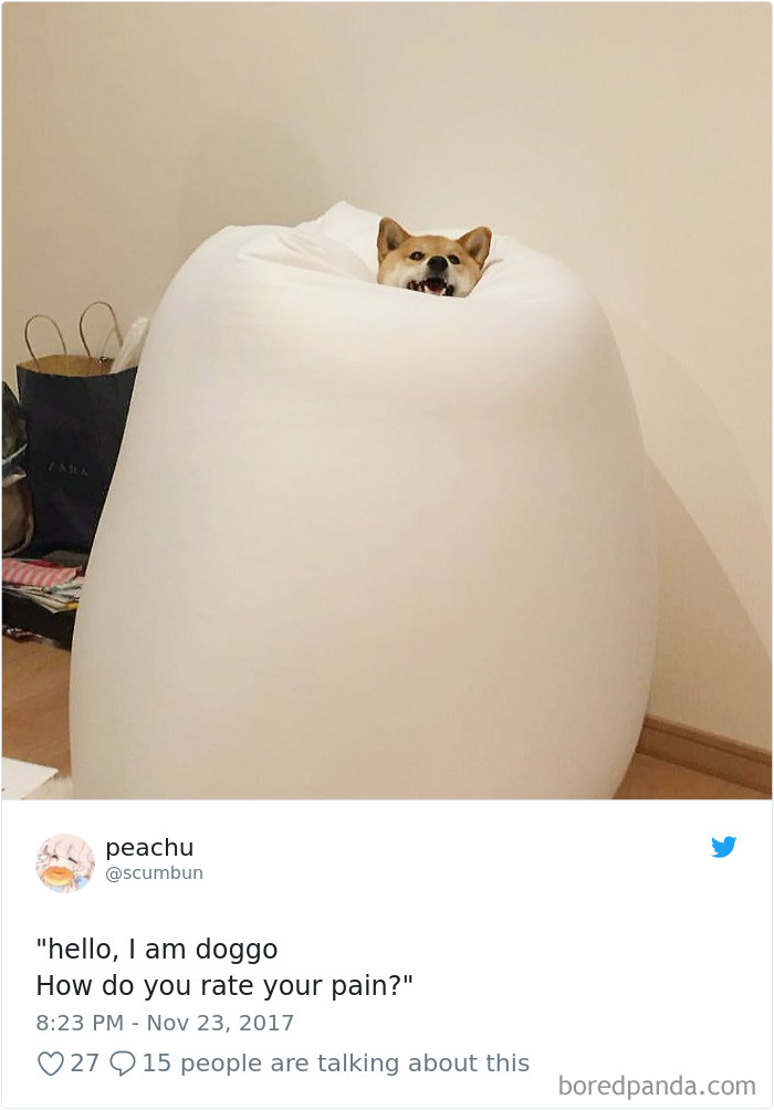 Hilarious-Dog-Tweets