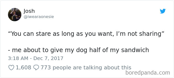 Hilarious-Dog-Tweets