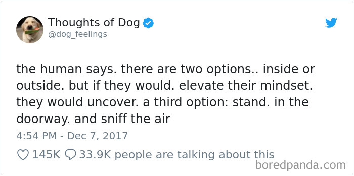 Hilarious-Dog-Tweets