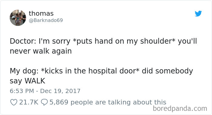 Hilarious-Dog-Tweets