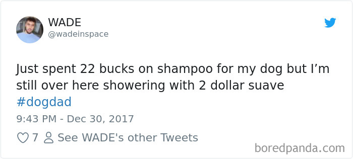 Hilarious-Dog-Tweets