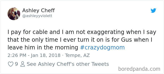 Hilarious-Dog-Tweets