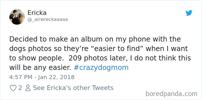 Hilarious-Dog-Tweets