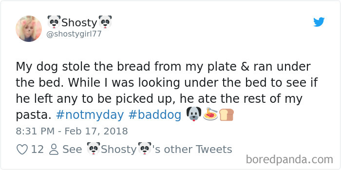 Hilarious-Dog-Tweets