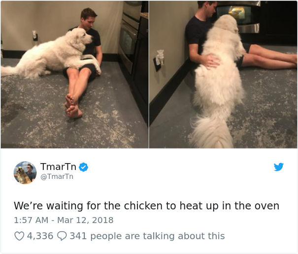 Pre-Begging Activities