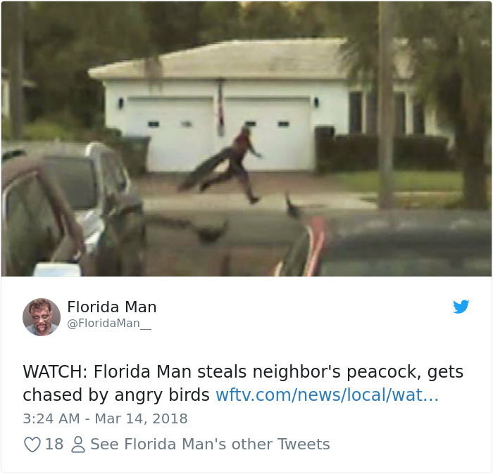 Man runs down a suburban street with a peacock as birds chase him.