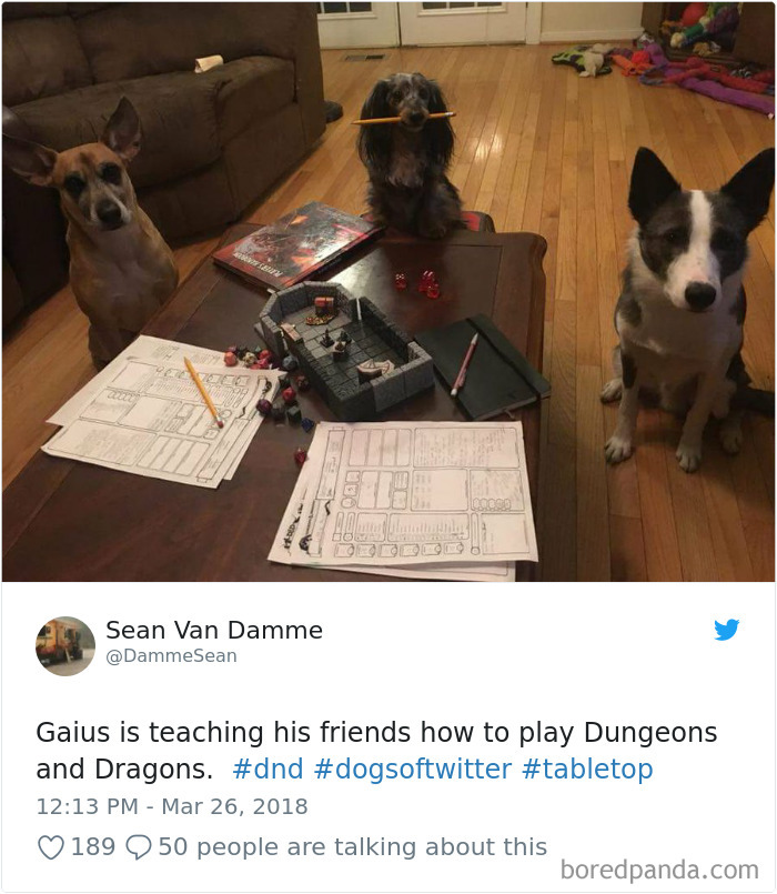 Hilarious-Dog-Tweets