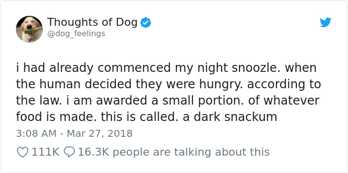 Hilarious-Dog-Tweets