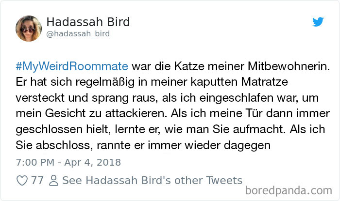 Hashtag-Stories-My-Weird-Roommate-Jimmy-Fallon