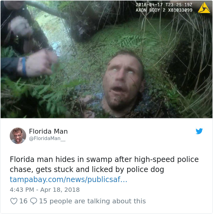 Florida man caught in swamp during police chase, submerged in water.