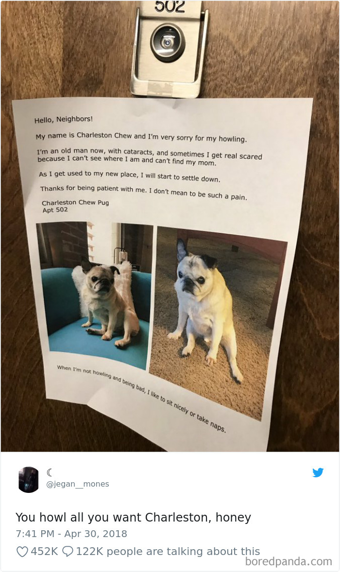 Hilarious-Dog-Tweets