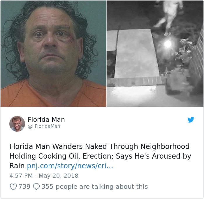 Mugshot and CCTV footage of a Florida man involved in bizarre neighborhood incident.