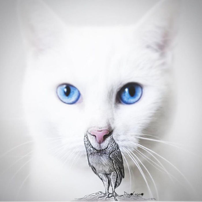 Artist Mixes Reality And Fiction And The Result Is Fantastic