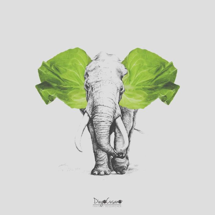 Artist Mixes Reality And Fiction And The Result Is Fantastic