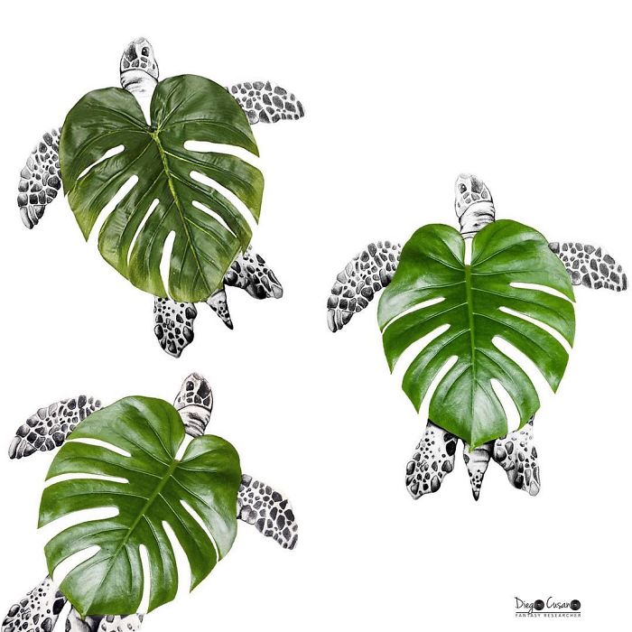 Artist Mixes Reality And Fiction And The Result Is Fantastic