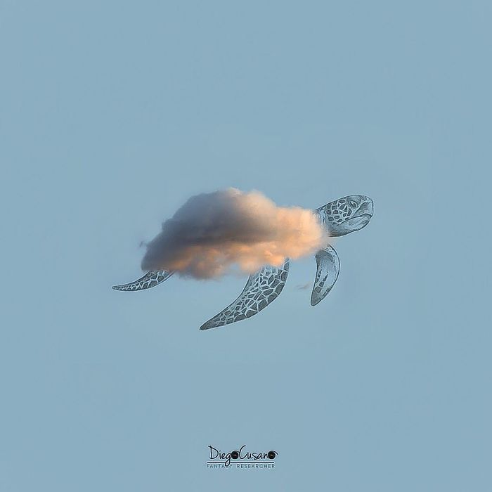 Artist Mixes Reality And Fiction And The Result Is Fantastic