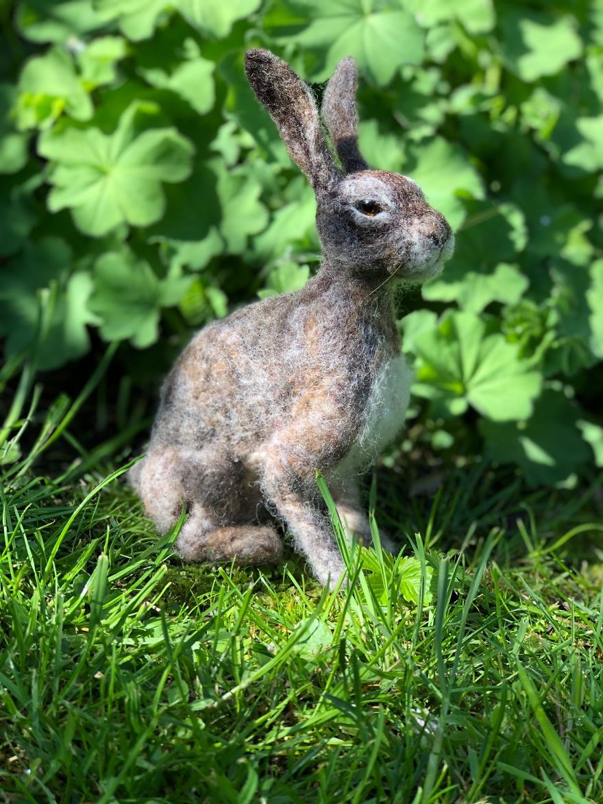 My Shed Life As An Artist