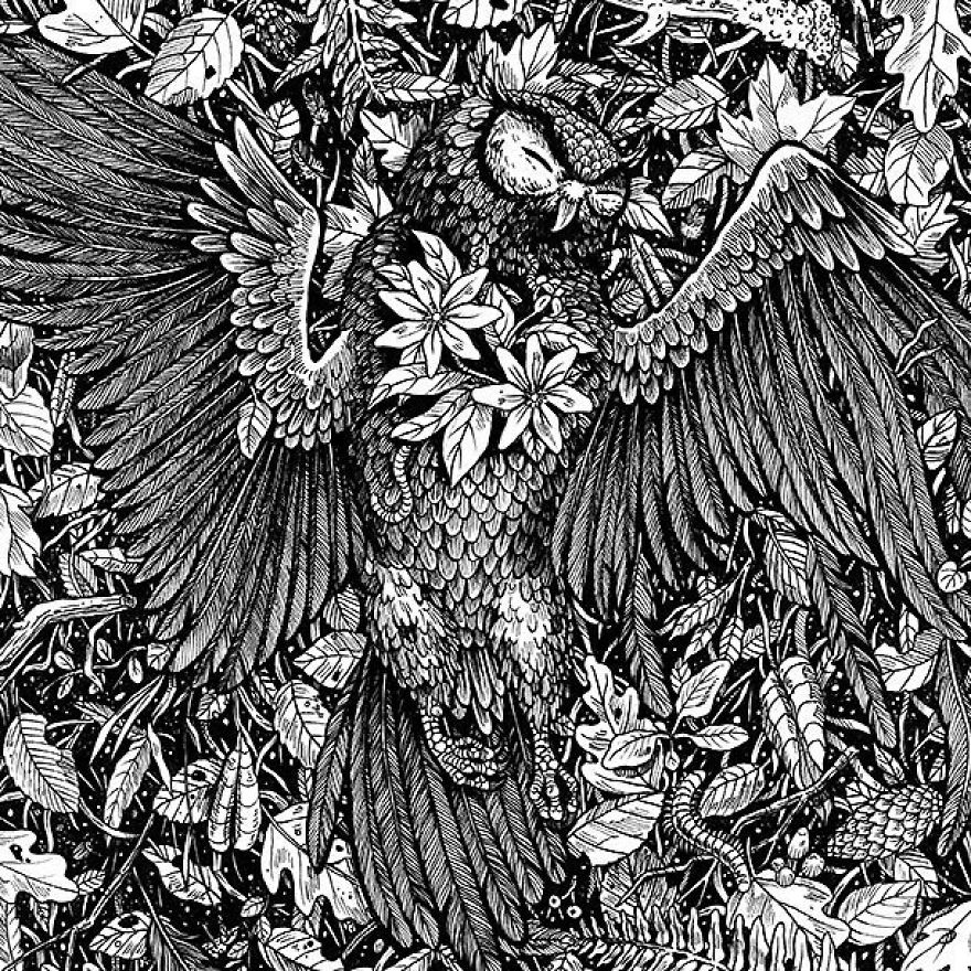 I Create Intricate And Detailed Drawings Of Animals Embedded With Their Natural Habitats