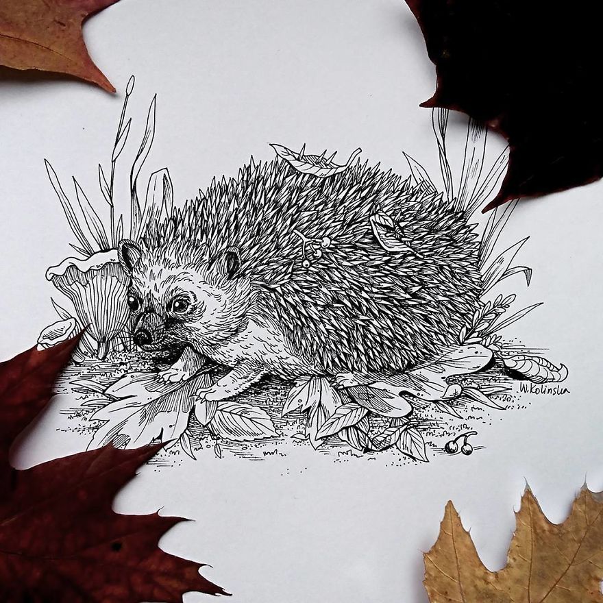 I Create Intricate And Detailed Drawings Of Animals Embedded With Their Natural Habitats