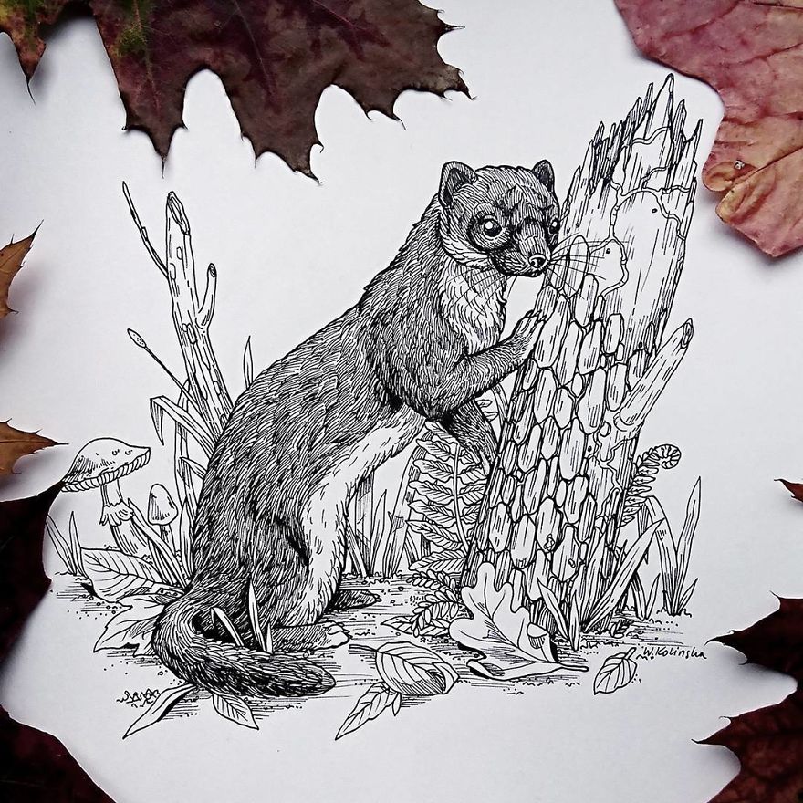 I Create Intricate And Detailed Drawings Of Animals Embedded With Their Natural Habitats