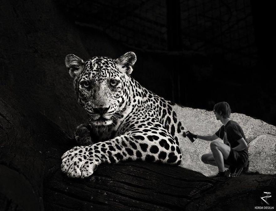 I Create Surreal Photos With Photoshop