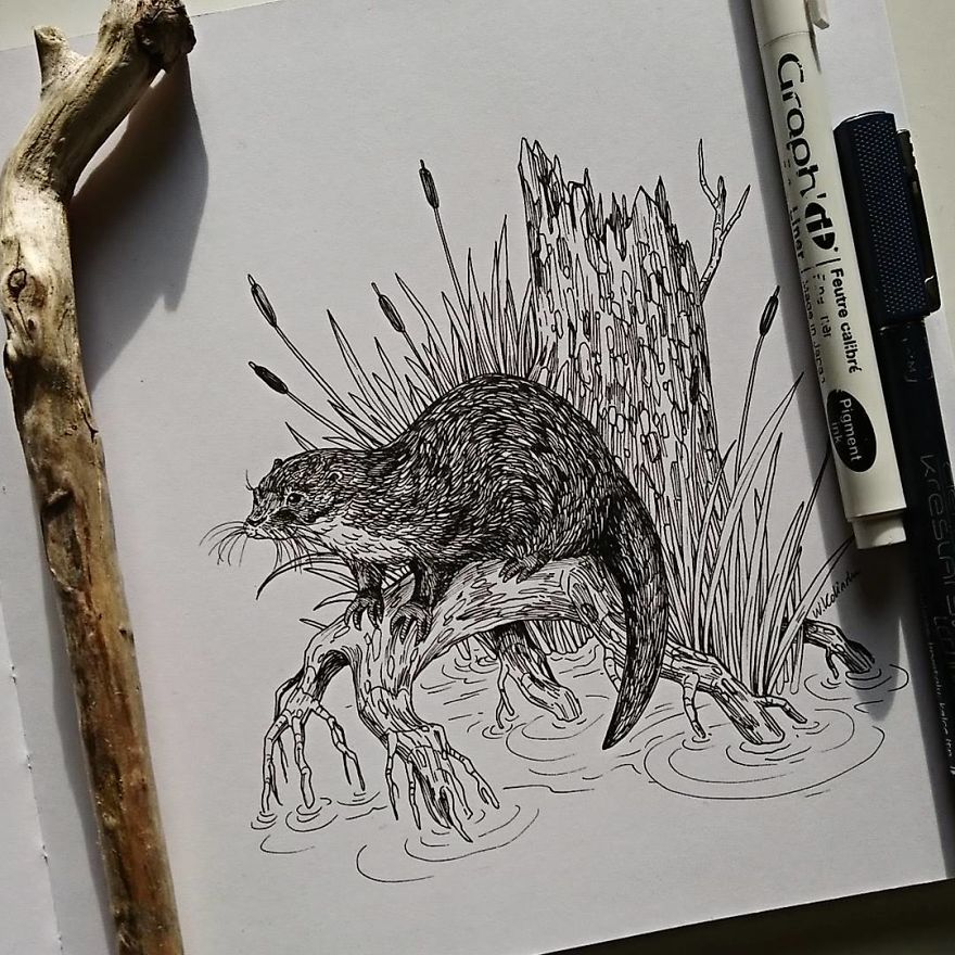 I Create Intricate And Detailed Drawings Of Animals Embedded With Their Natural Habitats