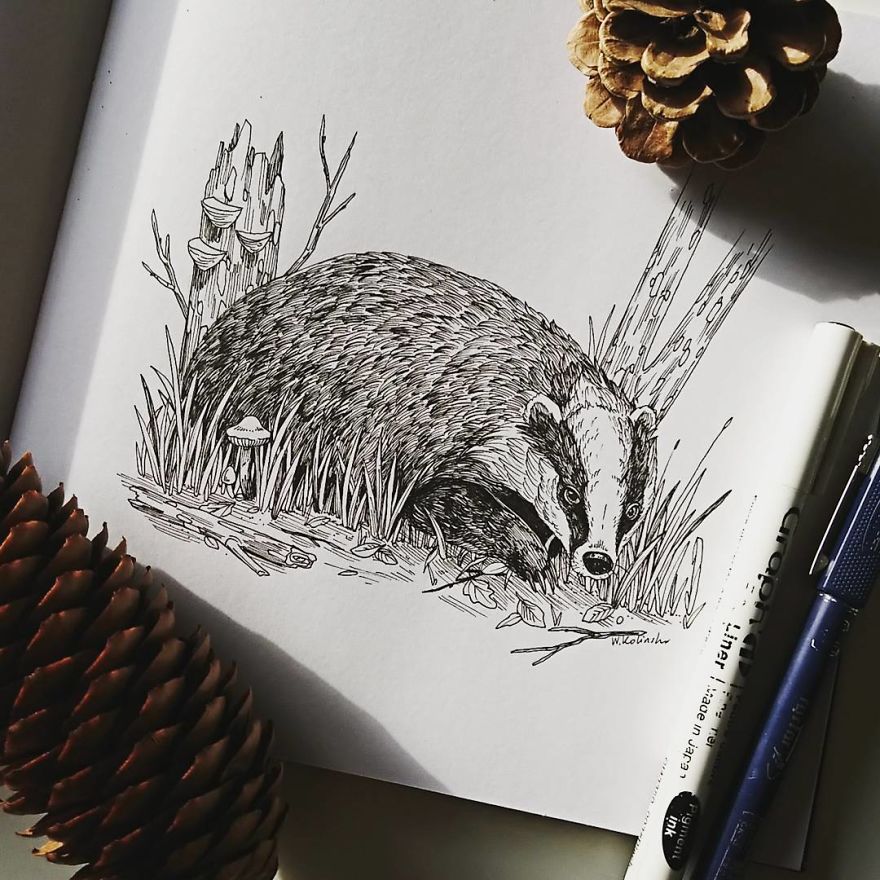 I Create Intricate And Detailed Drawings Of Animals Embedded With Their Natural Habitats