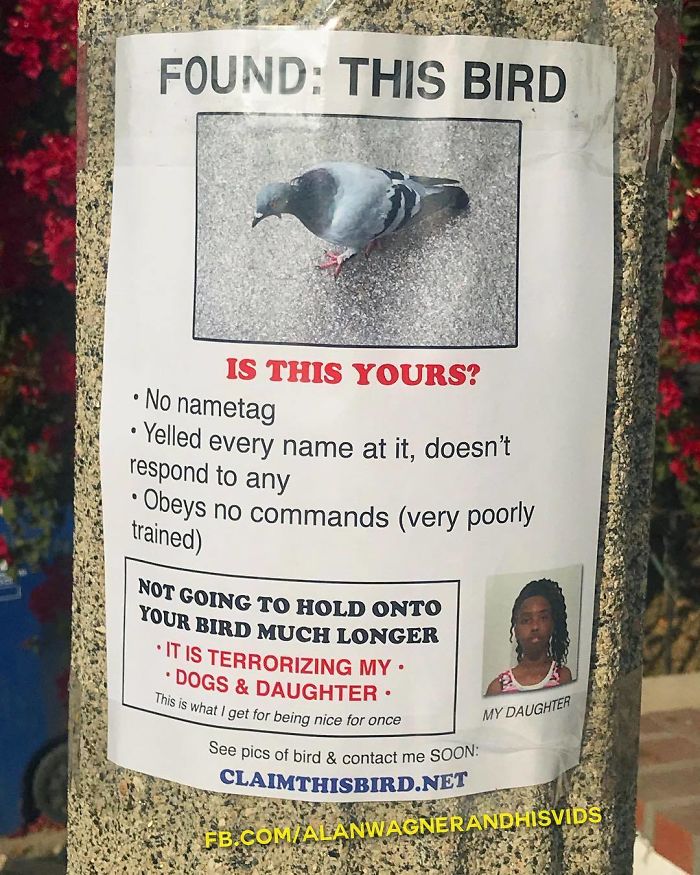 Wow! Do You Believe It!?
.
(Made For