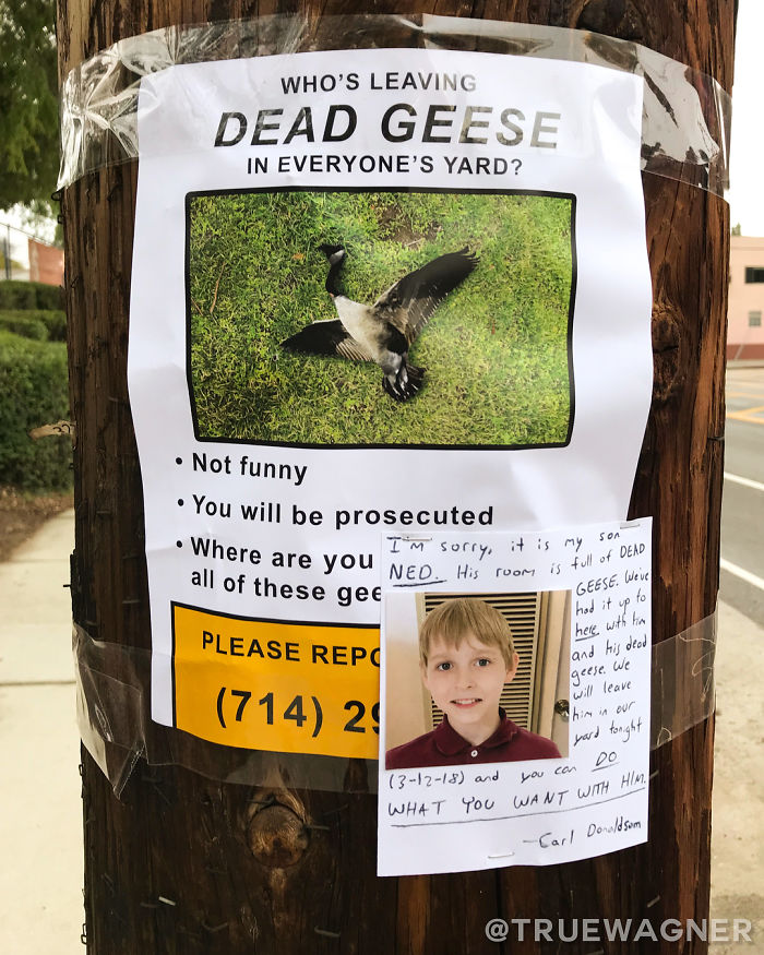 Does The Kid Deserve It?!
.
(Made For