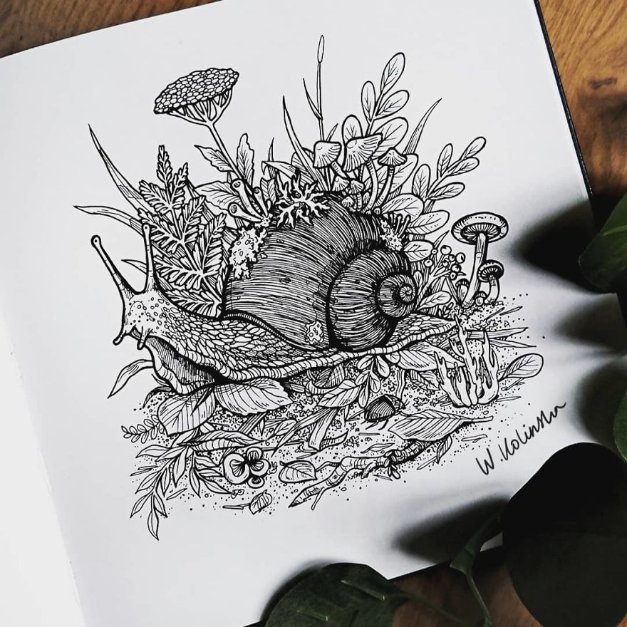 I Create Intricate And Detailed Drawings Of Animals Embedded With Their Natural Habitats