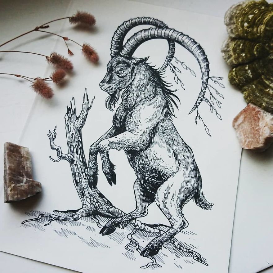 I Create Intricate And Detailed Drawings Of Animals Embedded With Their Natural Habitats