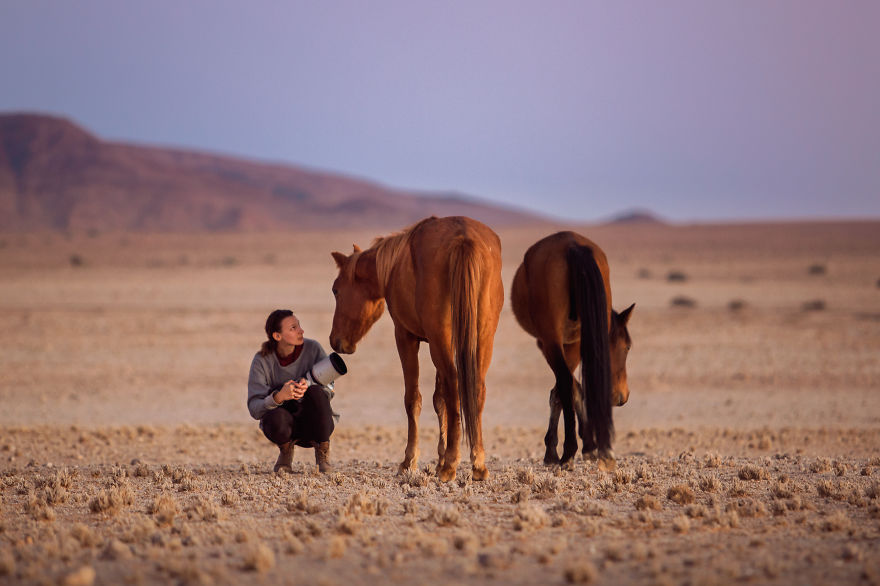Capturing Wild Horses Made Me Realize How Fragile Freedom Is Capturing Wild Horses Made Me Realize How Fragile Freedom Is