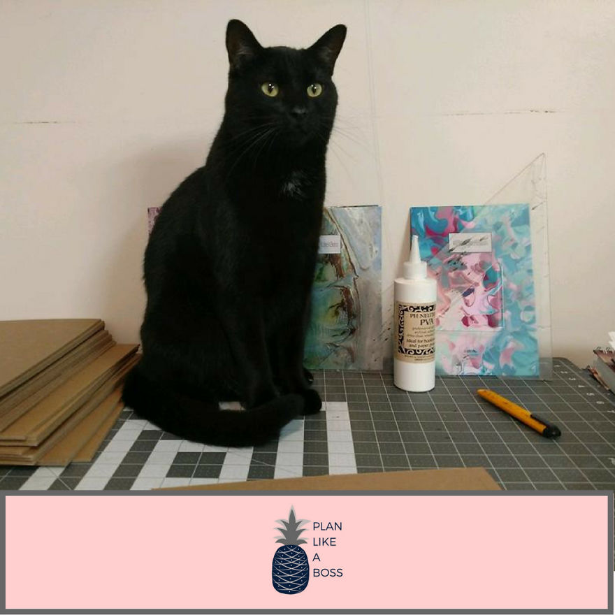 Just A Girl, Her Cat, And A Plan Just A Girl, Her Cat, And A Plan