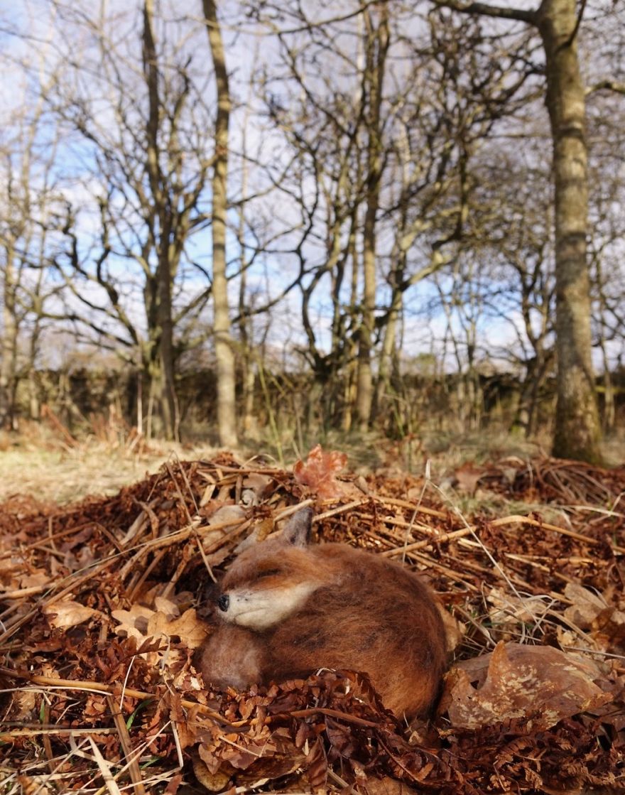 My Shed Life As An Artist