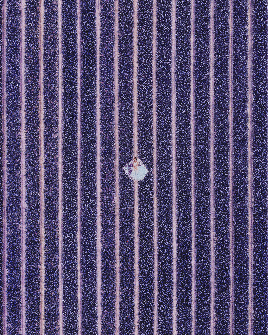 Hyacinth Flowers Field In North Holland. Model: Valeria