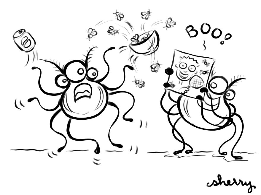 Silly Spiders Trying To Skate On Glass