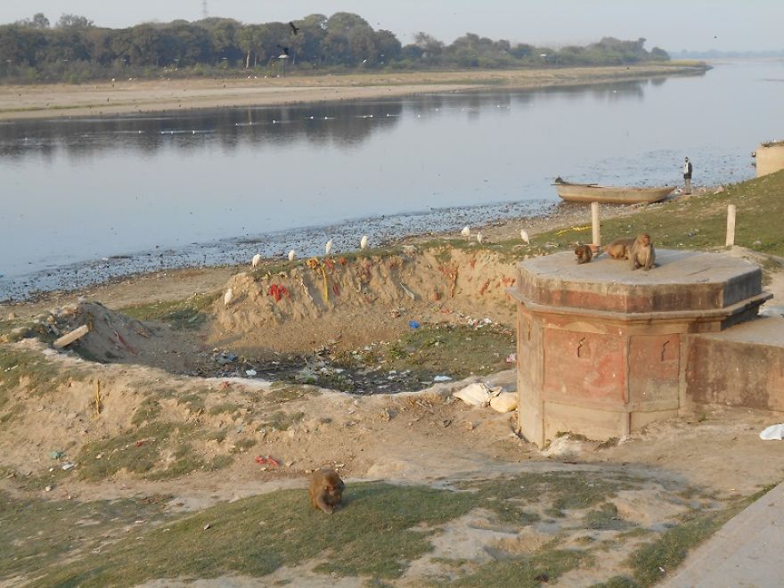 How Did I Volunteer As A Guide To Taj Mahal, India How Did I Volunteer As A Guide To Taj Mahal, India