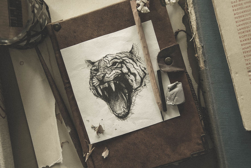 My Sketchbook Drawing Collection Of Animals 2017-18