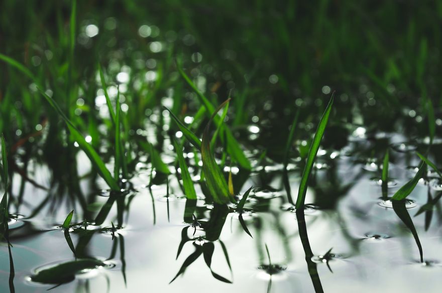 It Doesn't Matter What Equipment You Shoot With It Doesn't Matter What Equipment You Shoot With