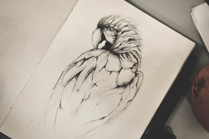 My Sketchbook Drawing Collection Of Animals 2017-18