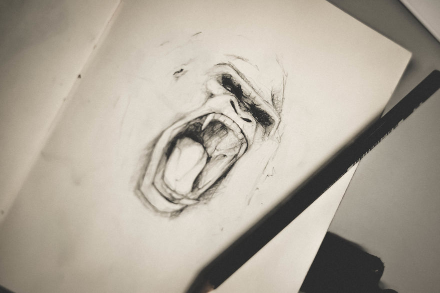 My Sketchbook Drawing Collection Of Animals 2017-18